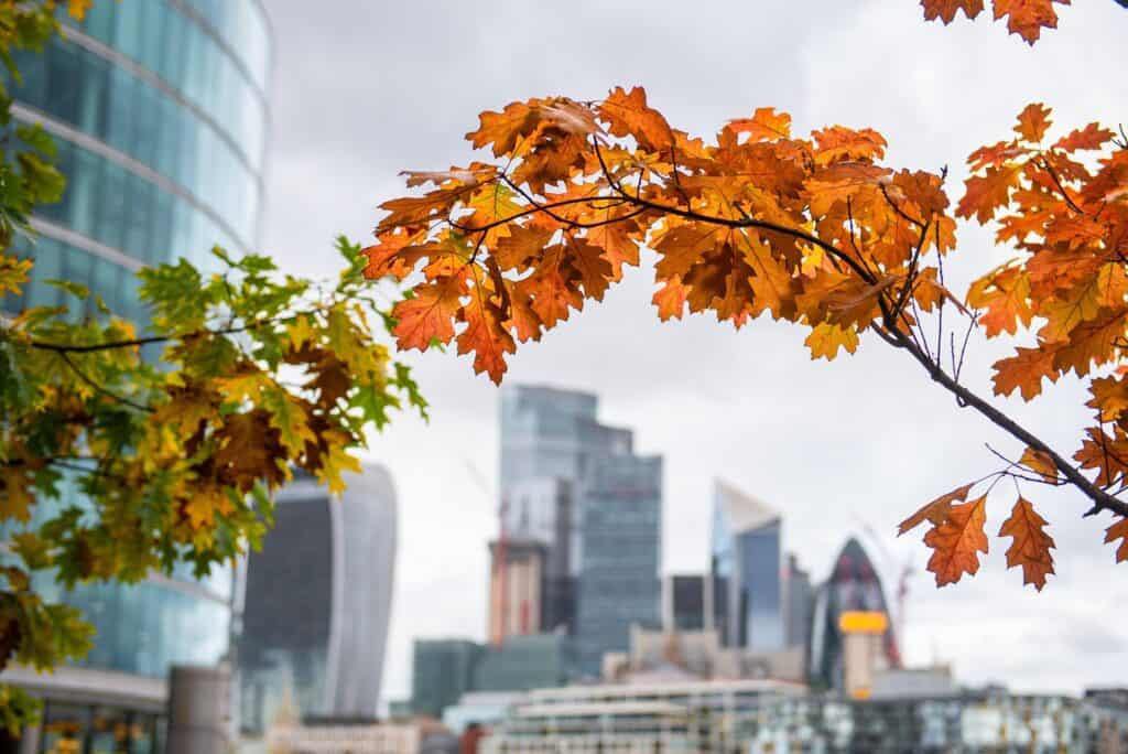Herbst In London England